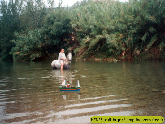 bateau thonier navigant cheval 1995
