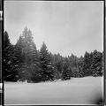 Paysage de montagne l'hivers